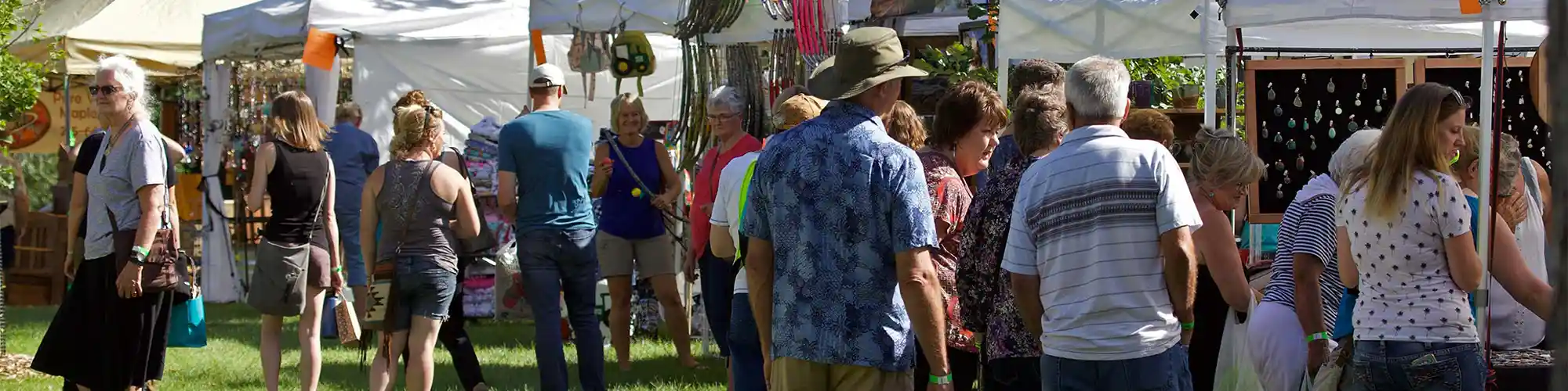 people at Festival in the Park