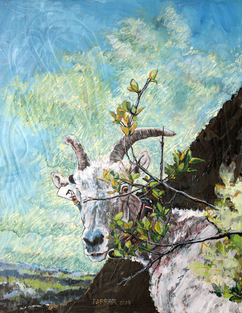 "F Ewe," acrylic painting by Dede Farrar