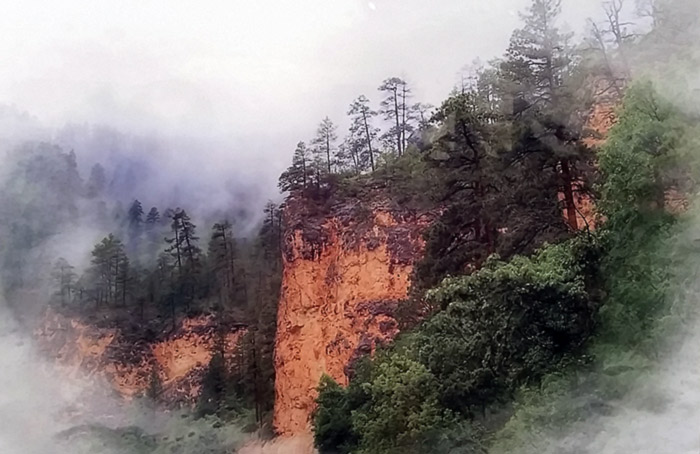 "Fog in the Canyon," Metal Print by Dan Contonis